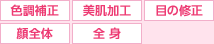 �F���␳�A�������H�A�ڂ̏C���A��S�́A�S�g